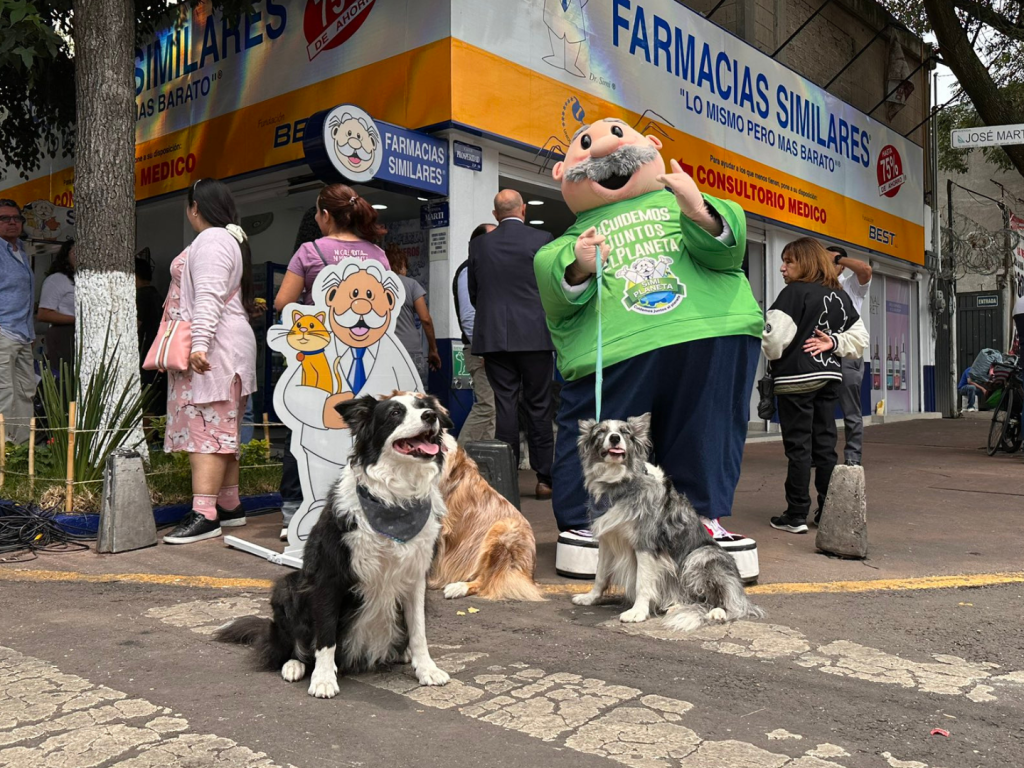Las farmacias para mascotas Simipet ofrecerán por ahora cuidados a perros y gatos